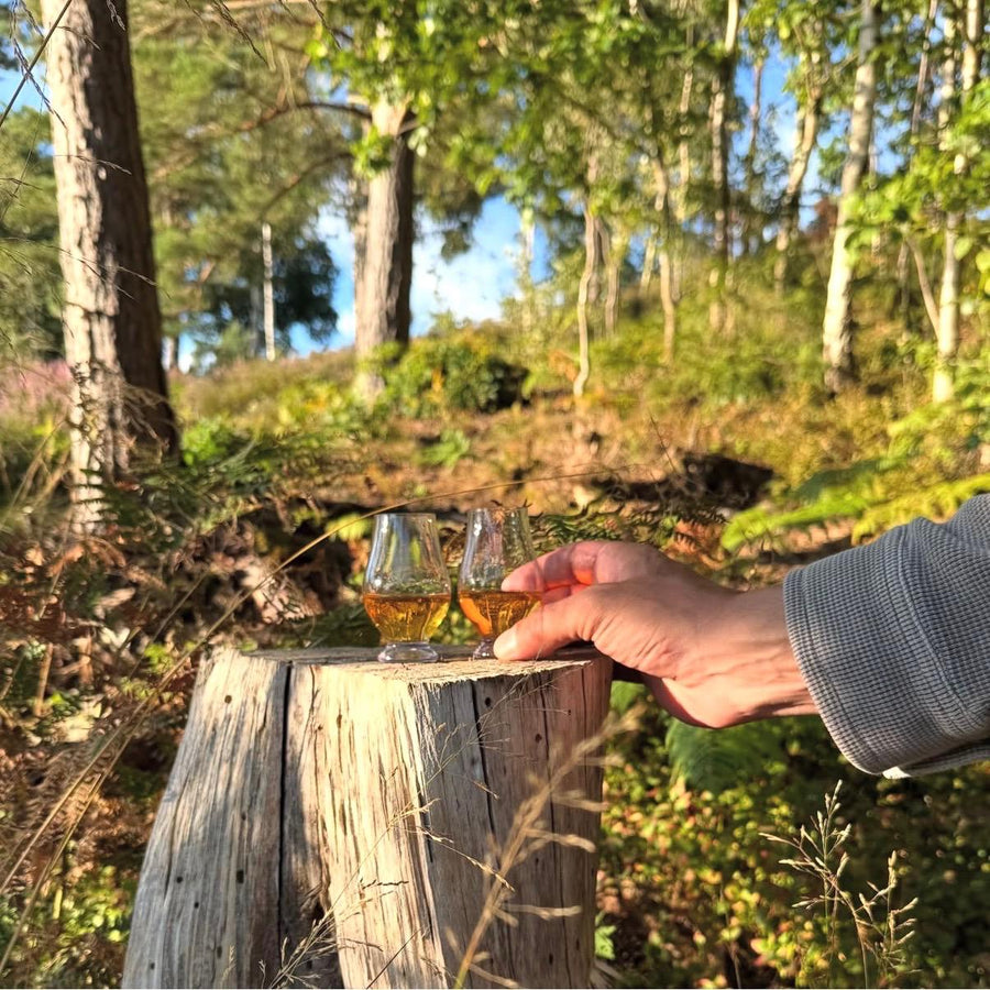 TXP whiskyglas med whisky i svensk natur